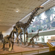 Illustration for article titled Brontosaurus Is the Most Amazing Dinosaur Who Never Existed